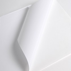 V3001WG - Weiß Glänzend kleber permanent grau
